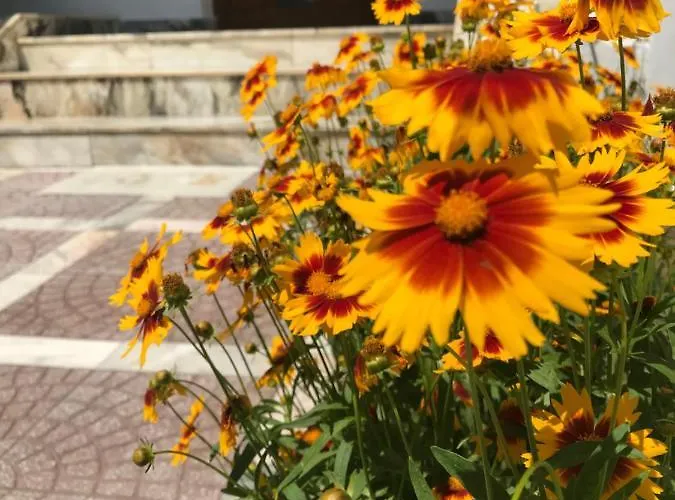 Gasthuis семейна къща “вълчеви”