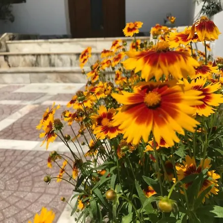 Guest house семейна къща “вълчеви”